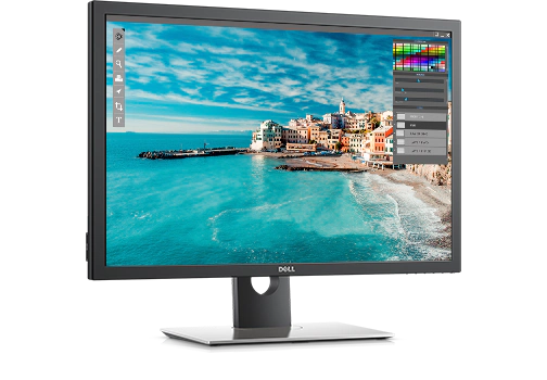 Dell UltraSharp 30 Monitor with PremierColor: UP3017A